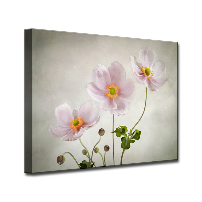 « anemones », impression sur toile, H 12 po x l 16 po x P 1,5 po