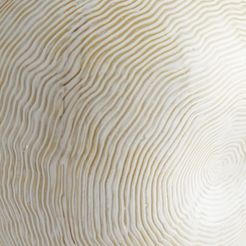 Blume Ceramic Table Vase