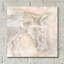 «Gray Head III» par Chris Paschke-1332582087