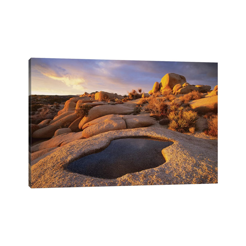 Water That Has Collected In Boulder, Joshua Tree National Park, California by Tim Fitzharris - No Frame Gallery-Wrapped Canvas Giclée on Canvas