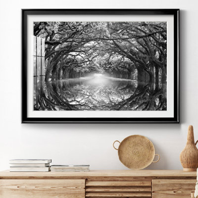 Oak Alley Reflection - photographie de cadre