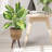 28'' Faux Hosta Plant in Basket