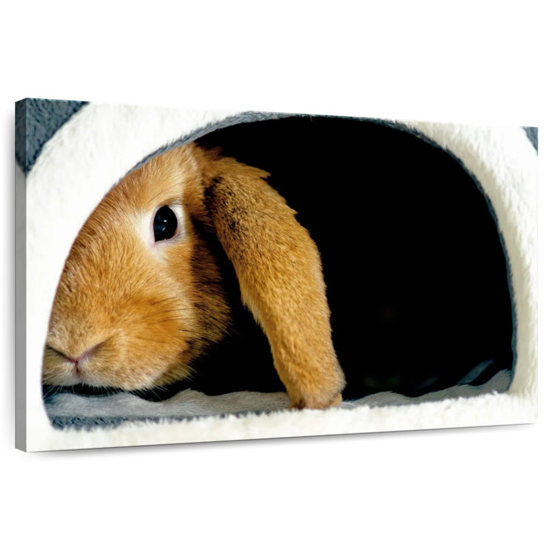 Brampt Rabbit Home, 8" H x 12" W