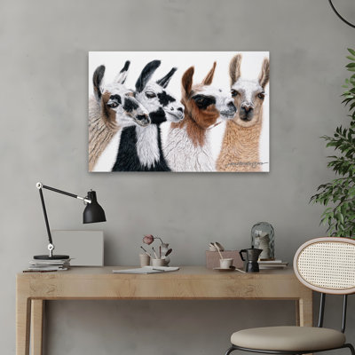 Péruvien visiteurs - photographie, art animalier