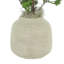 Pin Ming dans un vase Fiberstone-330234490