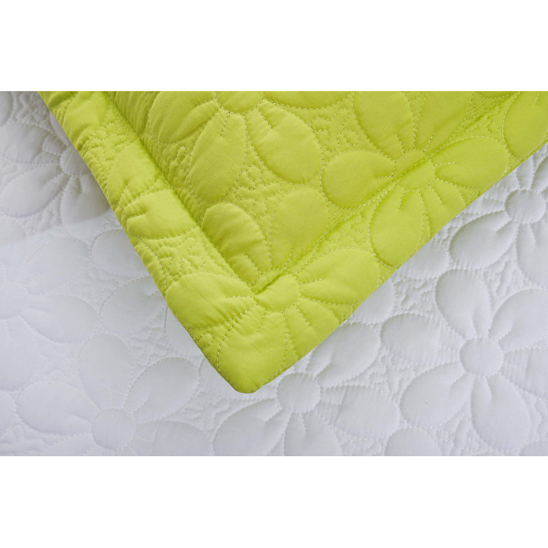  2 taies décoratives 2 pièces (très grand / grand), 20 po x 36 po, Lime