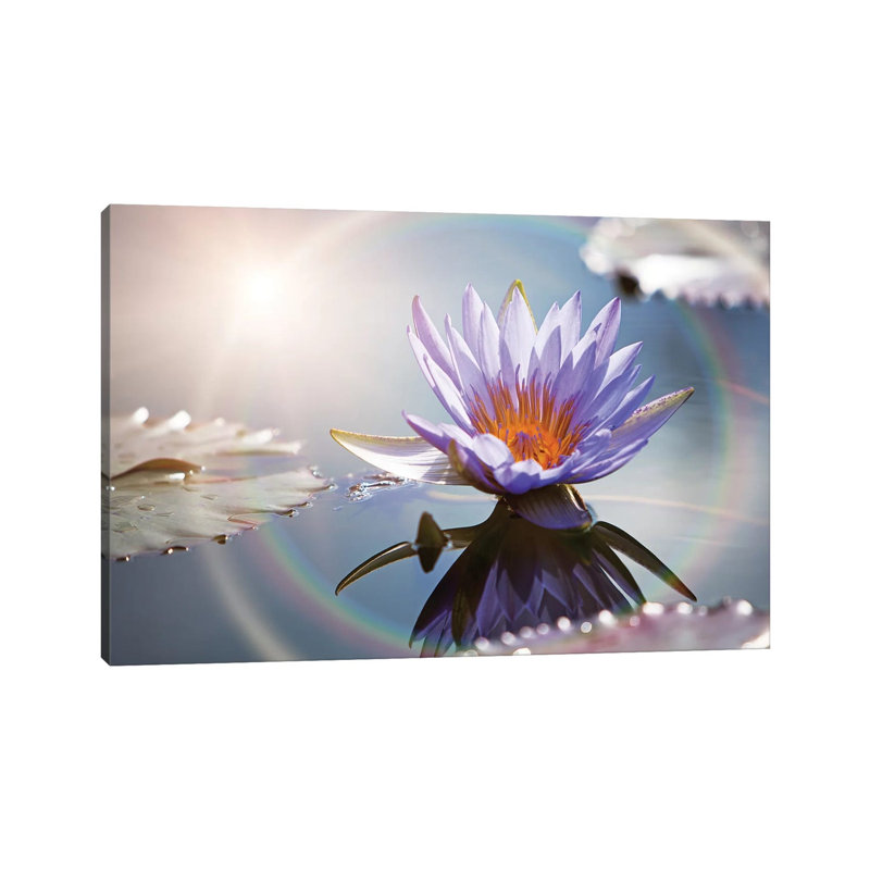 Lotus Flower With Sun Flare by Susan Schmitz - Wrapped Canvas Gallery-Wrapped Canvas Giclée, 20.32 cm H x 30.48 cm W