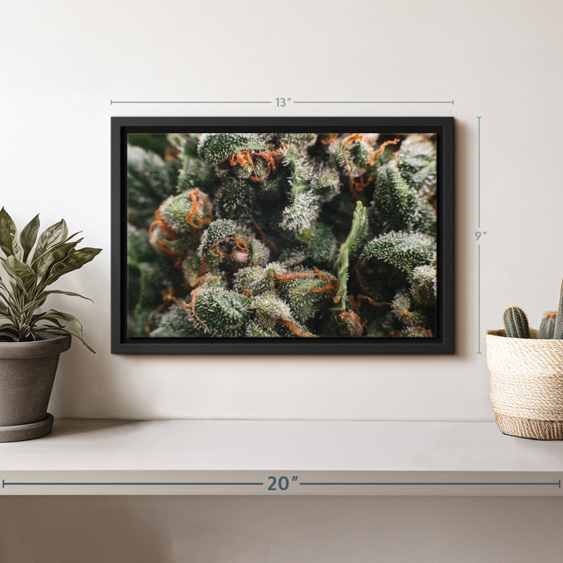 Reproduction sur toile de trichomes glandulaires, H 9 po x l 13 po