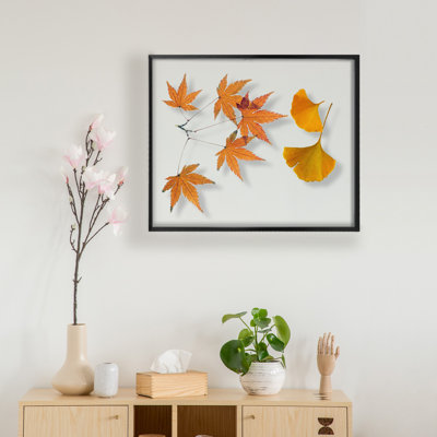 Chevalier Floating Frame 16x20, Metal Frame Display Photos, Plant or Petal Specimens for Wall Display