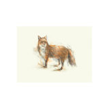 Forest Morning II Print by Sara Brown