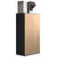 Amirbek Rectangle Accent Cabinet-88320952