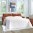 Kleban Queen Sofa Sleeper