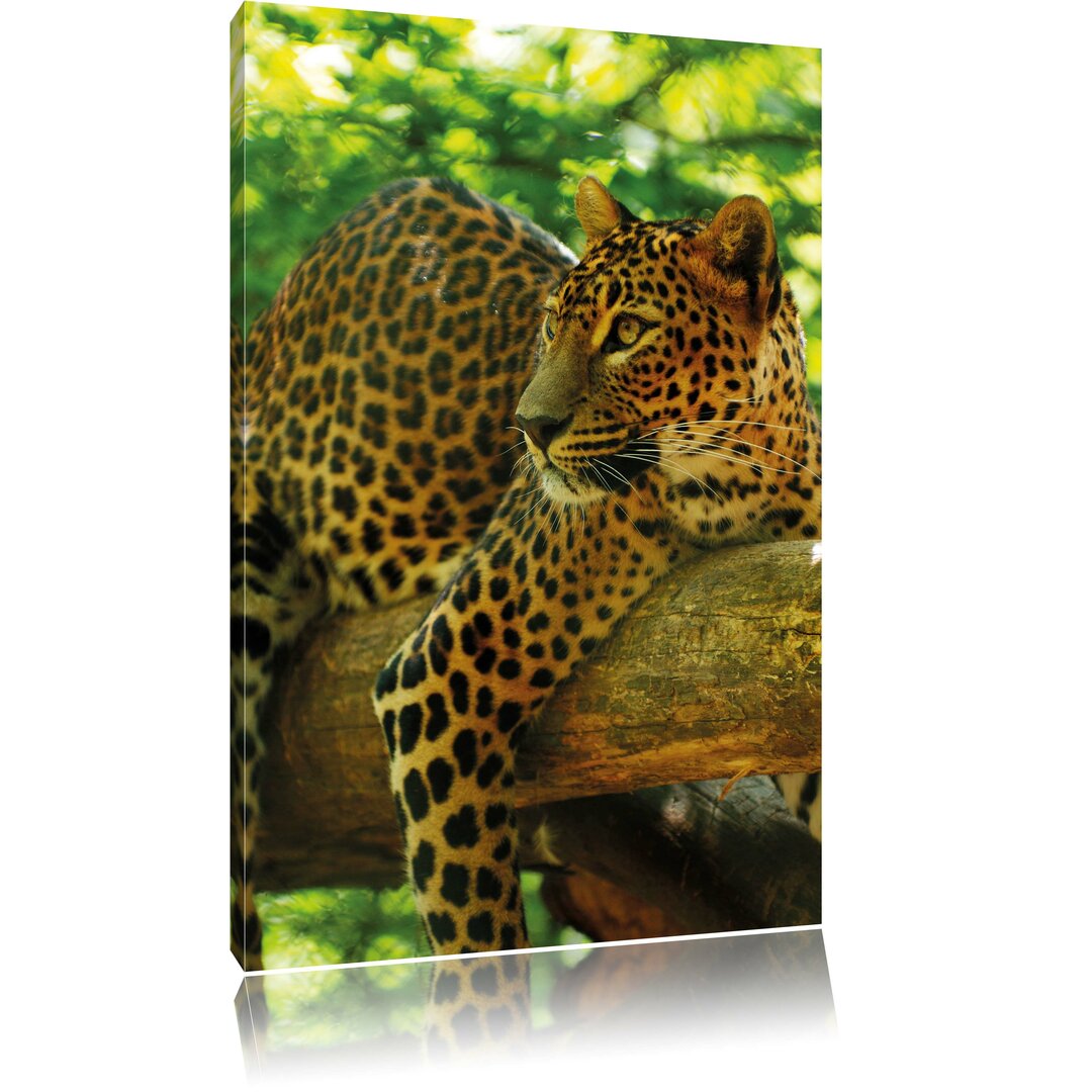 Leinwandbild Leopard auf Ast, Fotodruck