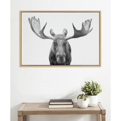 Moose Black and White by Amy Peterson Framed Canvas Wall Art Print