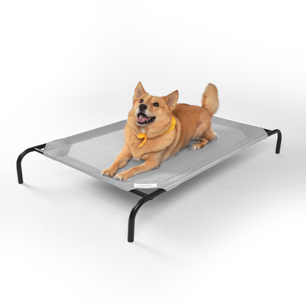 Check out the Original Elevated Cooling Pet Bed!