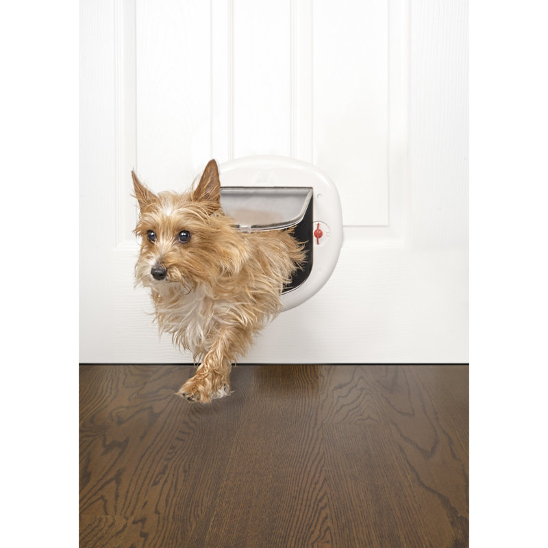 Premier Pet Locking Pet Door