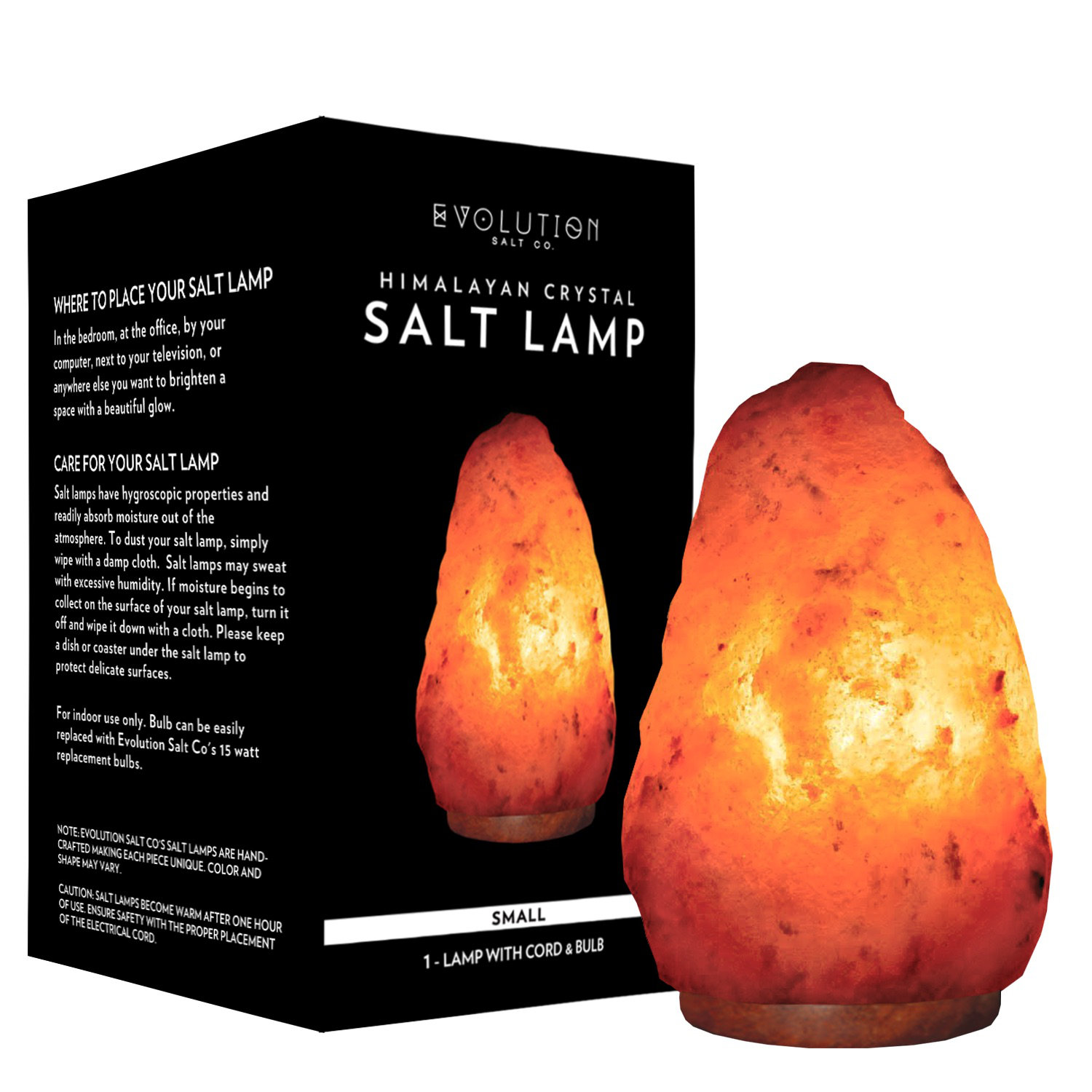 Evolution Salt Co Natural Himalayan 6 lbs Salt Lamp & Reviews - Wayfair ...