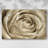 Neutral Wall Flower IV-Gallery Wrapped Canvas-2126424614