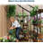 4x4FT Lean to Greenhouse Kit, Polycarbonate Walk-in, Aluminum-Steel Frame, Sliding Door, Roof Vent-125296685-125296686