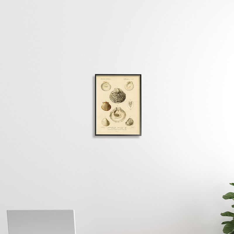 Carte marine vintage, H 30 po x l 24 po, Giclée encadrée noir minuit