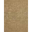 Abstract Area Rug in Pecan/Beige-1842556290
