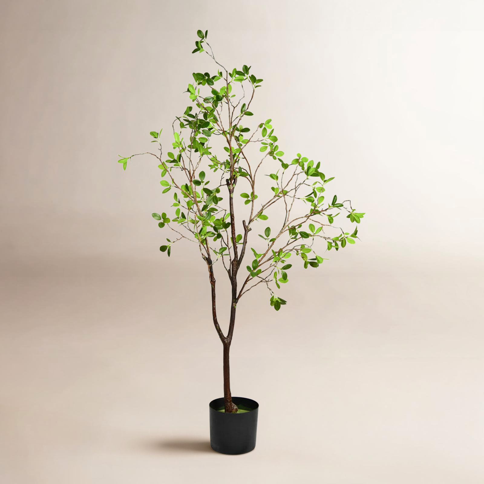 Milan Leaf Tree in Pot, 48" H x 26" W x 26" D