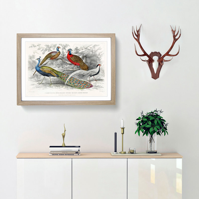 Peacock & Pheasants by Oliver Goldsmith - Picture Frame Painting Print, 36cm H x 48cm W x 2cm D, Oak Framed