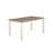 Atiqa Painted Rustic Dining Table-2132235724
