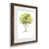 Papier, cadre noyer