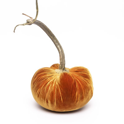 D'Or Silk Velvet Pumpkin