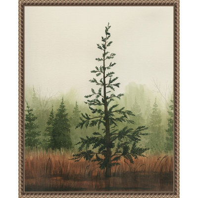 «Young Evergreen II» par Grace Popp, reproduction d'art sur toile encadrée
