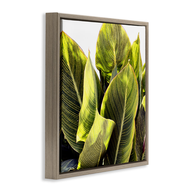 «Bright Bright Tropical Leaves» par Emily Navas, Cadre flottant orme Montalcino, H 18 po x l 18 po