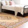 Oriental Indoor Rug