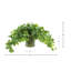 Faux Pothos Plant in Glass Vase-11301878