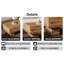 Table basse moderne Modern