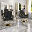 Chaise de salon hydraulique (paquet simple)