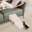 Rampe pliante pour chien, rampe pliante 2 en 1 pour animaux