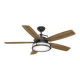 56" Caneel Bay 5 - Blade Outdoor Standard Ceiling Fan with Wall Control and Light Kit Included