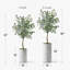 Arbre artificiel dans un pot de fleurs moderne, faux arbre en soie d'eucalyptus (décoration en pot et arbre)-85806483-85807175