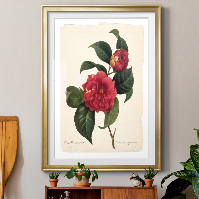 Red Botanical I - Cadre photo, reproduction d'art sur papier, Papier avec cadre doré, H 26,5 po x l 36,5 po x P 1,5 po