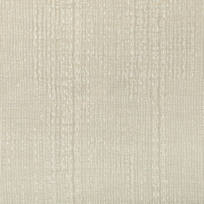 Kravet Basics - 4862-1