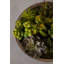29cm Faux Succulent Plant in Stone Planter