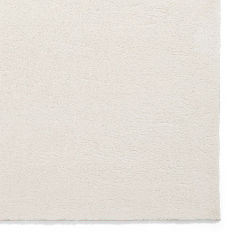 Tejal area rug Machine Woven Rectangle Ivory, Rectangle 160 x 230cm