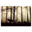 Animals In The Forest - No Frame Print on Canvas-1876294464
