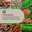 Mammutgrow Raised Garden Bed-42115017