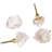 2" Length Novelty Knob