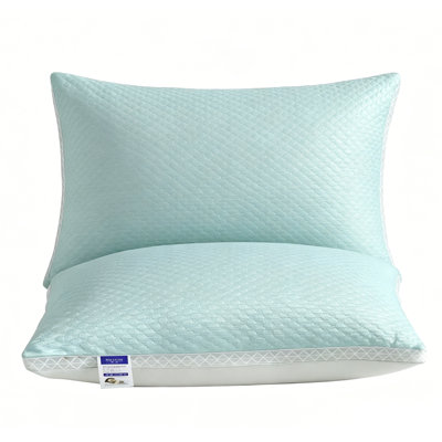 2-Pack Bean 3D Pillow - Green All-Season, Soft and Hypoallergenic