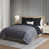 Black/Gray