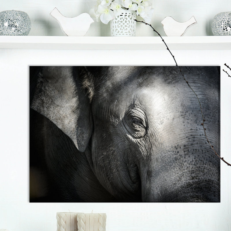 Éléphant gros plan - impression sur toile tendue, H 20 po x l 20 po x P 1 po