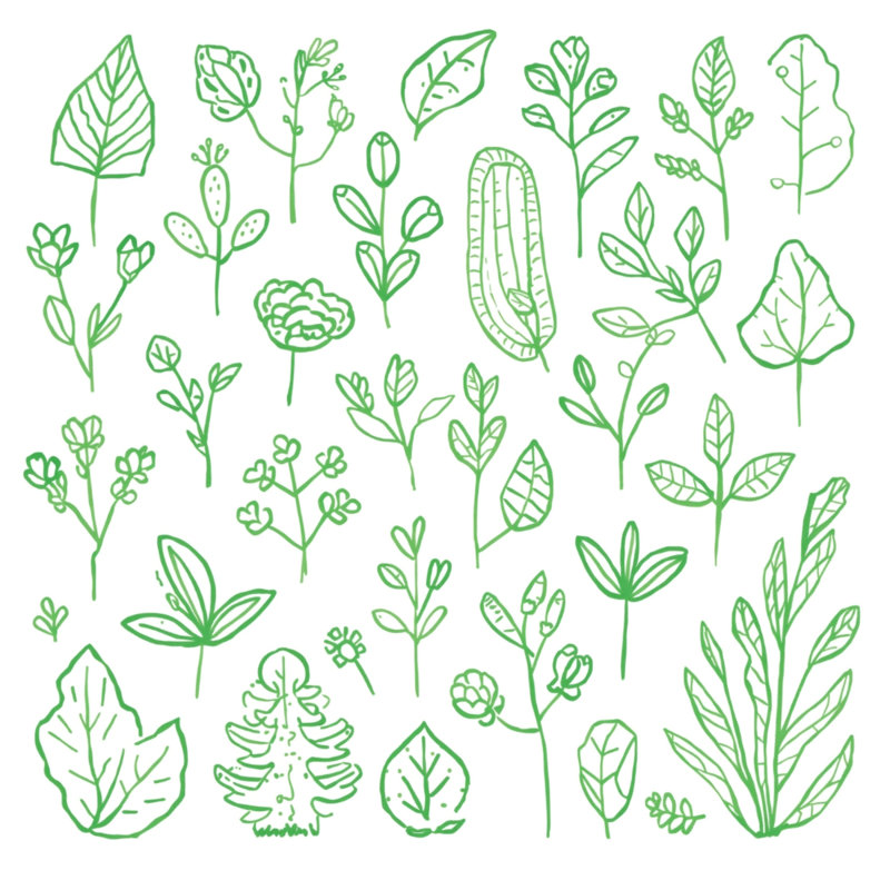 Tapisserie murale «Green Botanical Illustration» - décoration murale botanique, 50 po H x 60 po L avec 4 œillets